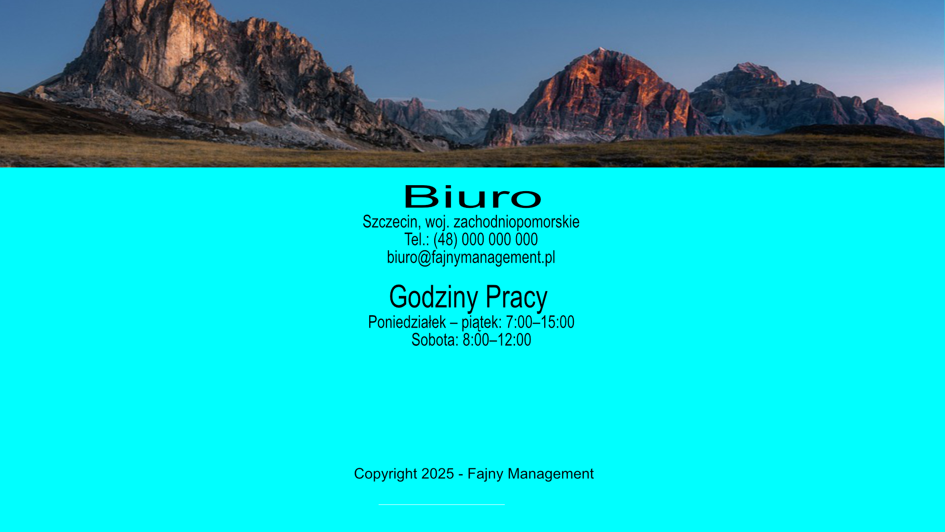 Strona Glowna serwisu